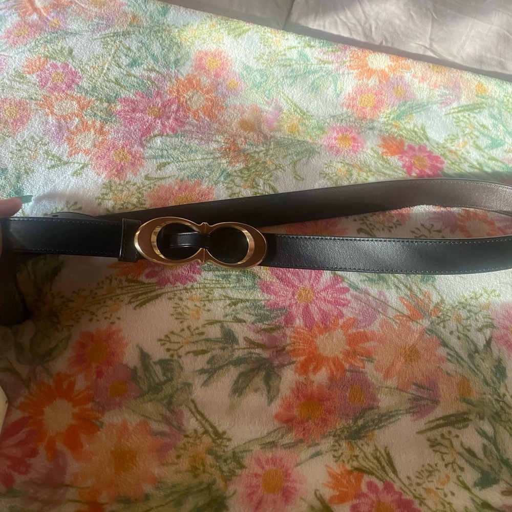 Coach belt